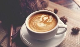 瑞辛咖咖啡最新爆料,揭秘行业黑幕，真相令人震惊！